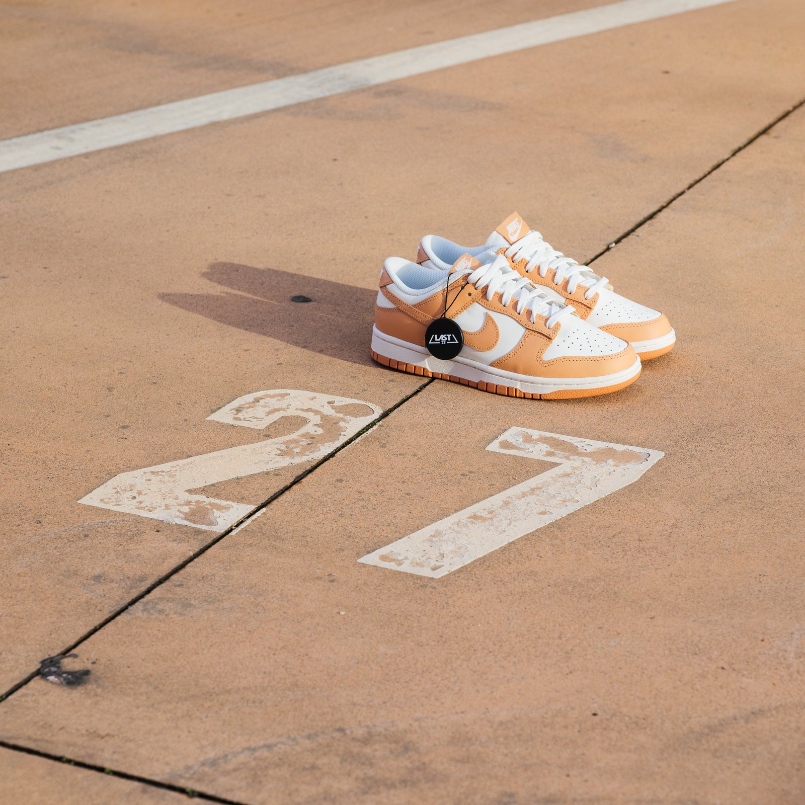 L'Iconica Evoluzione: La Storia delle Nike Dunk